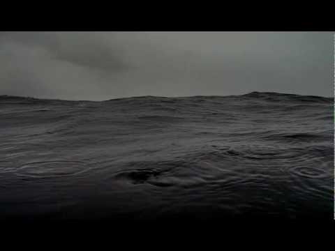 Daniel Thomas Freeman - Staring Into Black Water [H.D]