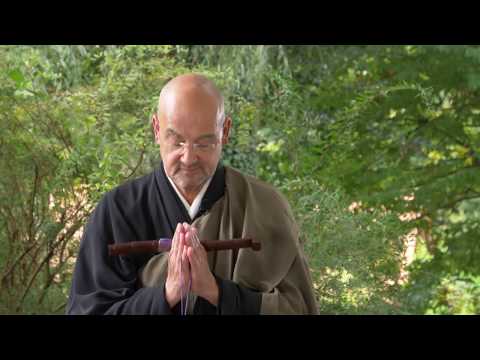 #7 MÉDITATION - Les 5 obstacles à la méditation zen - maître Wang-Genh - english & deutsch subtitles