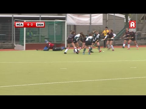 Samenvatting HCA - DSHC en HCA - De IJssel (13 november 2016)