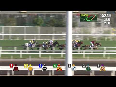 2021 Hong Kong Gold Cup International Group 1 2000m