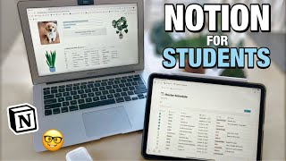 HOW I USE NOTION FOR VET SCHOOL + free templates for students!
