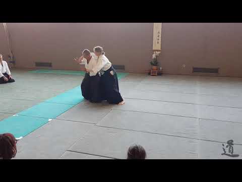 Traditional Aikido Europe - THE SECOND CIRCLE - Lewis Bernaldo de Quiros