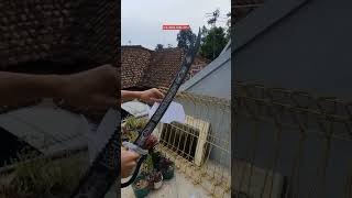 Download lagu pedang zulfikar black sword arabian bilah 73cm #reels #shorts #zulfikar mp3 Download lagu pedang zulfikar black sword arabian bilah 73cm #reels #shorts #zulfikar mp3