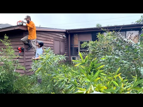 Owner went to JAIL and the BANK TOOK HIS HOUSE - It hasn’t been CUT IN YEARS