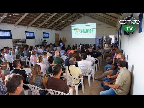 Dia de Campo COTArroz 2026 | VOZ DO CAMPO | 22-09-2026