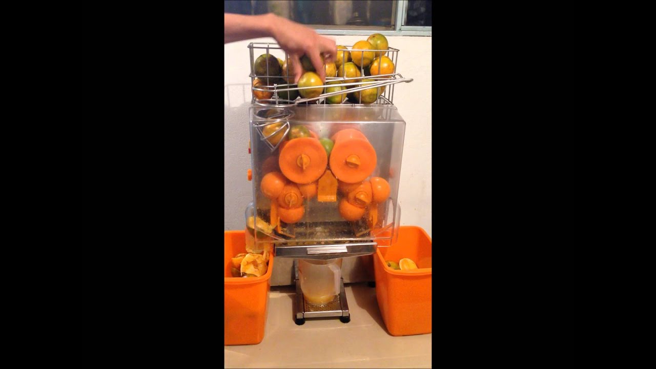 GRUENN S.A.S. - Extractor - Exprimidor Automatico - Máquina de jugo de naranja y mandarina