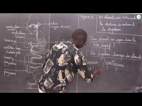Cours - Première S - SVT : Des aliments aux nutriments de la destinée des nutriments: la digestion