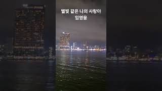 # 별빛 같은 나의 사랑아 #임영웅 #다낭에서 진달래 특파원