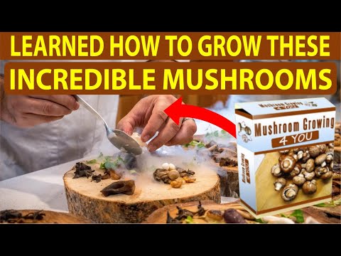 Mushroom Growing 4 You Review - Mushroom Growing Guide - Very Important
