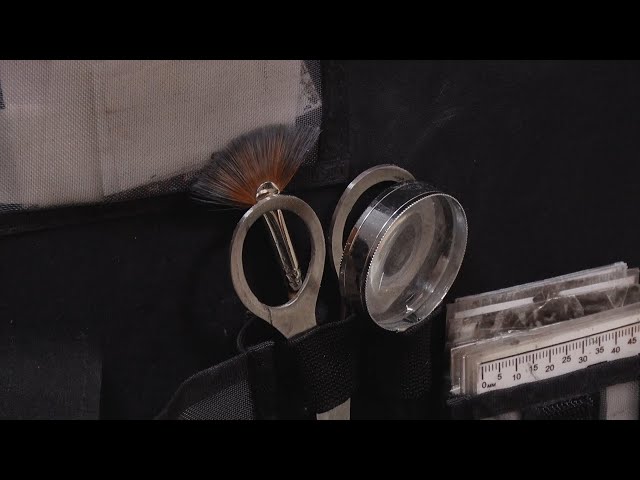 Профессия: криминалист