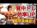 背中トレーニング効率UP!肩甲骨練習方法【筋トレ】