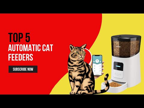 ✅ Top 5 Best Automatic Cat Feeders Reviews
