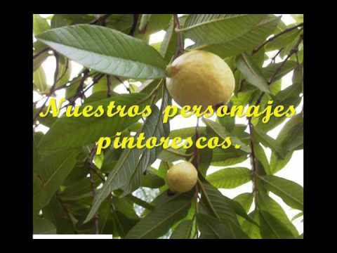 HISTORIA SAN ISIDRO 1 PARTE