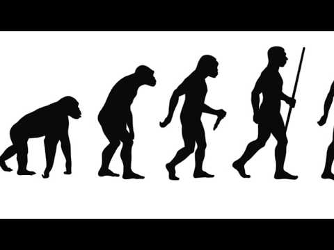 HUMAN + HUMAN DUB (Humble Brother Kai Dub)