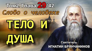 ТОМ 2. ГЛАВА 29. - Тело и душа. Святитель Игнатий (Брянчанинов)
