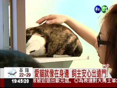 貓咪旅館即時視訊 飼主安心出遊!