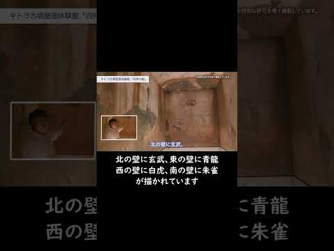 言語文化学科 【奈良大学 文学部 文化財学科】古墳など文化財を見学する講義－もちろん実施しています #奈良大学 #shorts #奈良