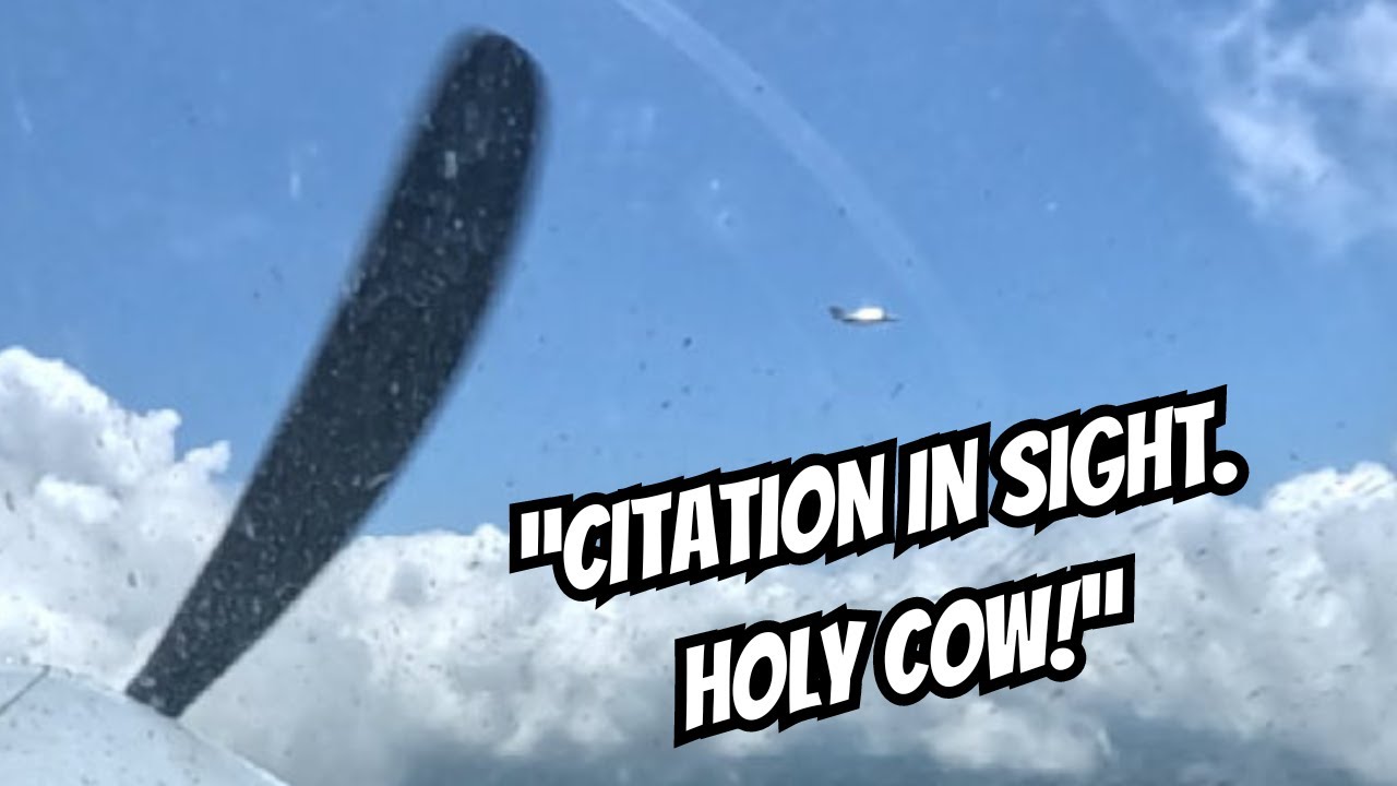 "Citation In Sight. Holy Cow!"