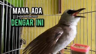 Download lagu trucukan gacor ROPEL PANJANG buat pancingan trucukan agar bunyi JADIKAN burung trucuk gacor EMOSI mp3