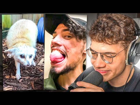 uni reacciona a muchos videos, son muchos posta