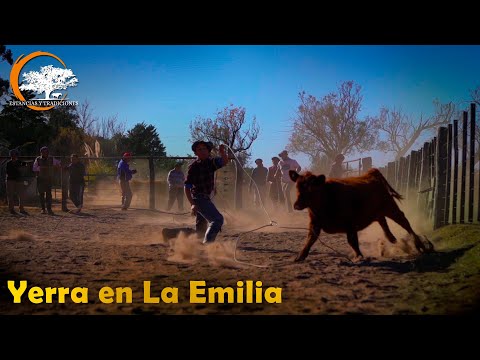 204 Yerra en Establecimiento La Emilia (San Luis) - Estancias y Tradiciones