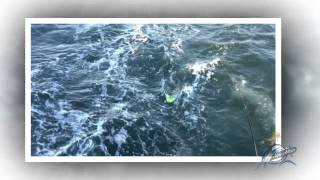 preview picture of video 'Virginia Beach Fishing Boat Charters Rudee Inlet'