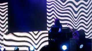 Bassnectar @ Electric Forest 2012-- UGLY