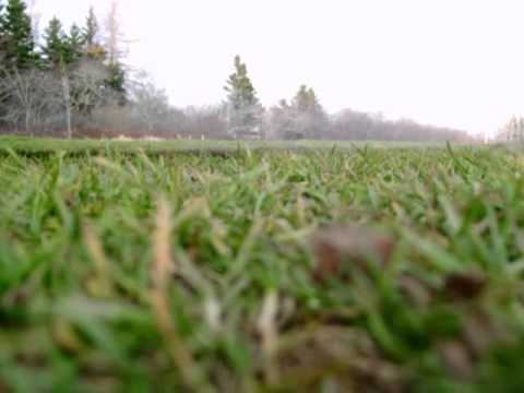 Stock 88' 302 on a bad day, but sounding good.