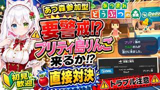 【あつ森参加型】要警戒!? あつ森界隈の有名人プリティ島りんごさん来るか!? トラブル注意で直接対決！初見さん大歓迎【VTuber/氷川つき】