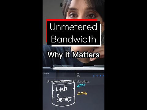 Unmetered Bandwidth in Web Hosting