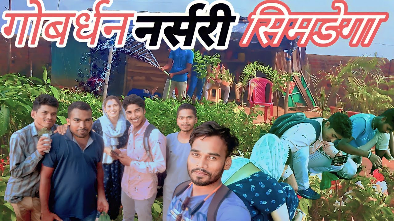 नर्सरी प्लांट कैसे होता है? How is a Nursery Plant?#Business#Nurseryplant#NurseryVlogvideo