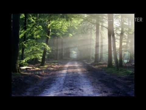 හදවත ඔබේ හඳුනන්නෙමී Hadawatha obe handunannemi