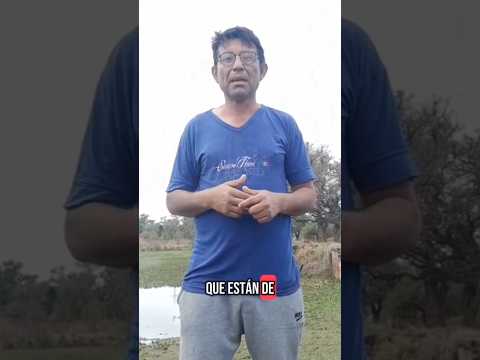 HOY LOS LAGOS  TARTAGAL SANTA FE