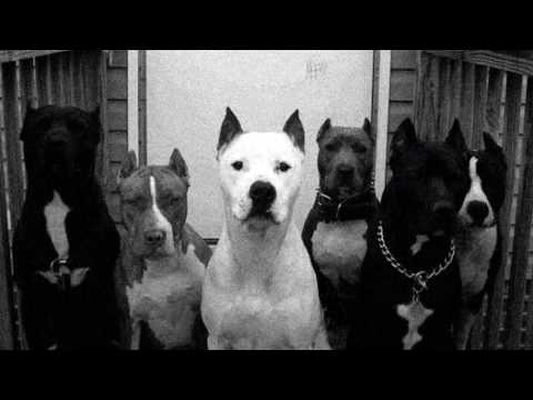 Edenas ft. amanitiN - be titrų