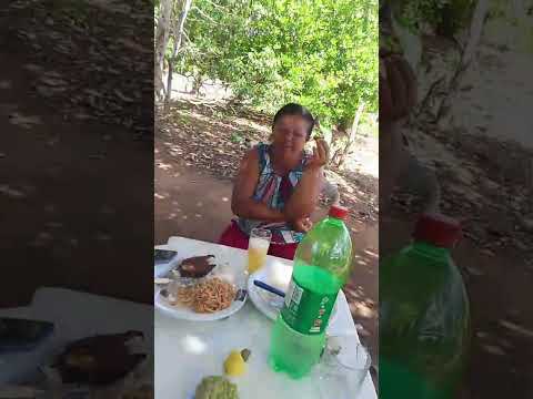 RANCHO DO CARRETEIRO BELEM ALAGOAS BRASIL