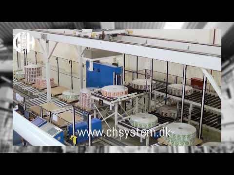 Gantry Robot two axis with double heads by CH System