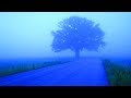 Nick Gravenites & Mike Bloomfield - Blue Highway
