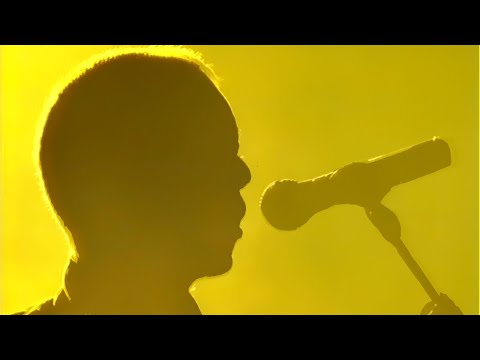 THE THE — THE SINKING FEELING (live)