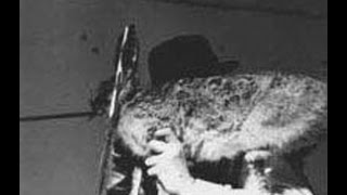 Joseph Beuys  Como explicar imagens a uma lebre morta parte 2/2