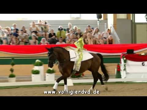 Lauren Vanlerberghe (BEL) - FEI Senior EC Ebreichsdorf 2017 - Female 28