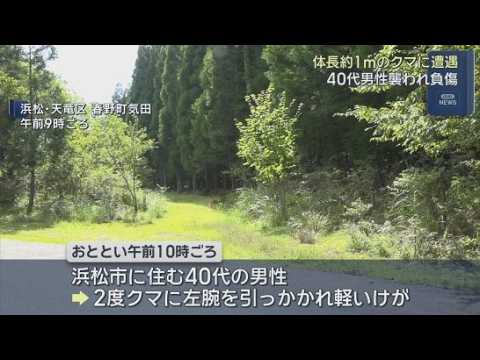 YouTube Video 森林組合の職員がクマに左腕を引っかかれ軽いけが　クマによる人的被害は２０２１年以来　浜松市天竜区