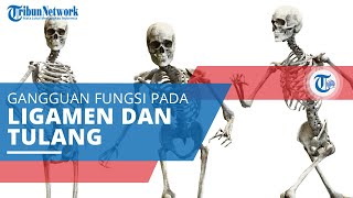 Muskuloskeletal, Gangguan Fungsi pada Ligamen, Otot, Saraf, Sendi dan Tendon, serta Tulang Belakang