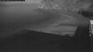 The Marine Mammal Center Live Stream Point Reyes National Seashore live webcam