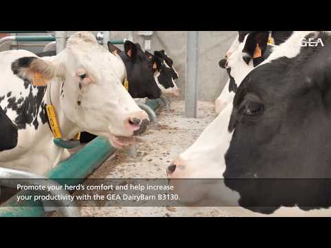 GEA Dairy Farming - GEA DairyBarn B3130
