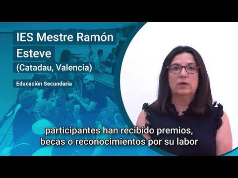 Designing bridges between European citizens through STEAM - European Innovative Teaching Award