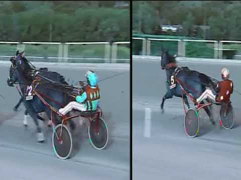 Trotto 08/09/2019 - 7ª corsa