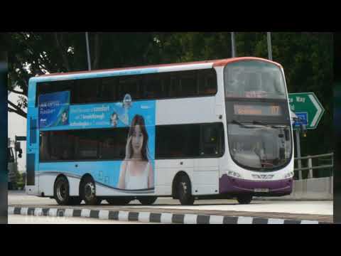 Singapore Buses Photo Showcase 2017