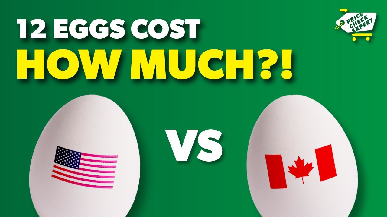 Egg Prices Compared: Canada vs. USA – Who’s Paying More?