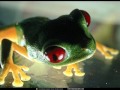 Hadag Nahash - Little Man 