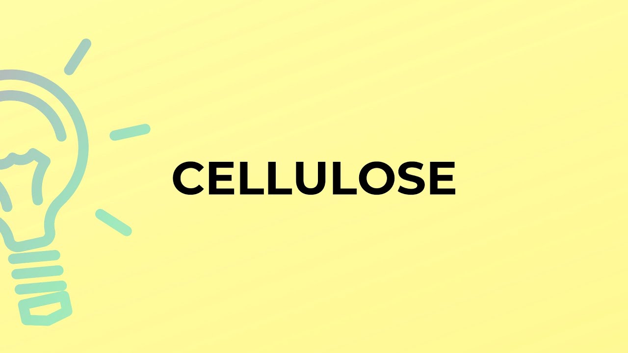 What is the meaning of the word CELLULOSE?